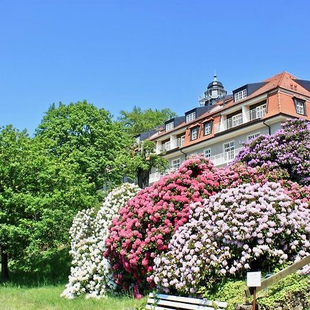 Ferienwohnung Natur Und Kunst Dresda Esterno foto