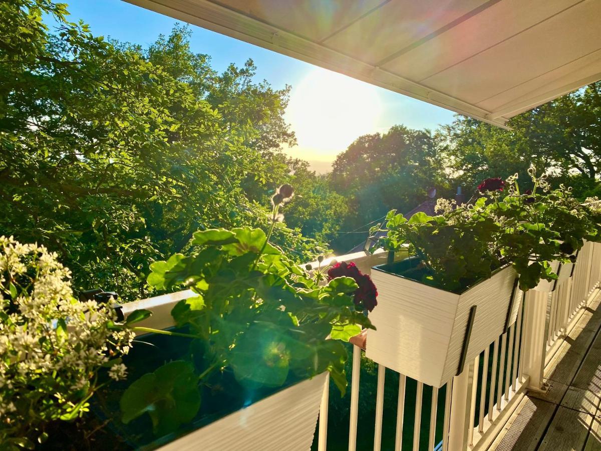 Ferienwohnung Natur Und Kunst Dresda Esterno foto