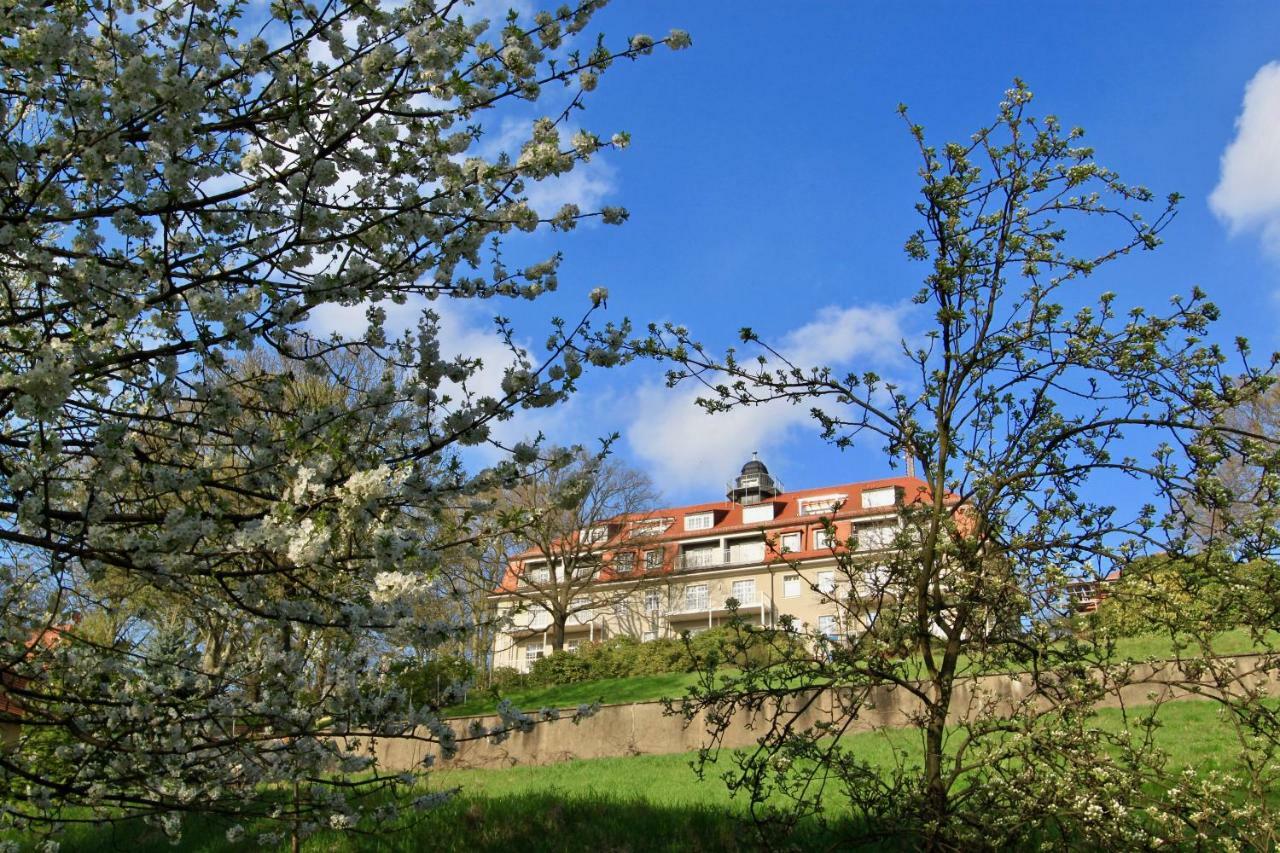 Ferienwohnung Natur Und Kunst Dresda Esterno foto