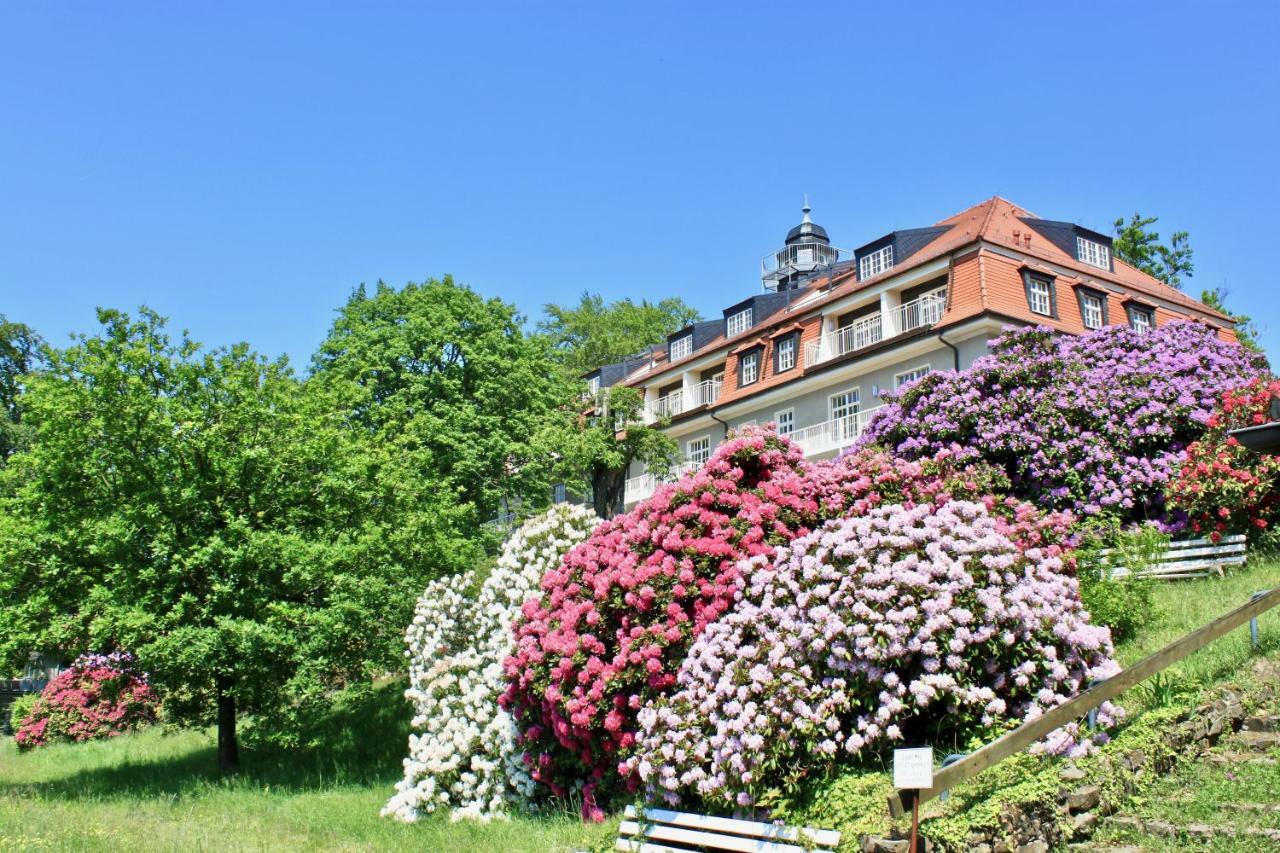 Ferienwohnung Natur Und Kunst Dresda Esterno foto