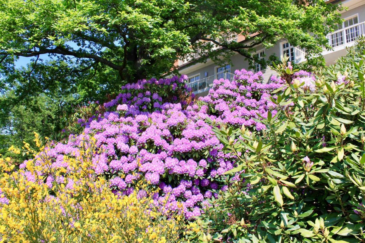 Ferienwohnung Natur Und Kunst Dresda Esterno foto