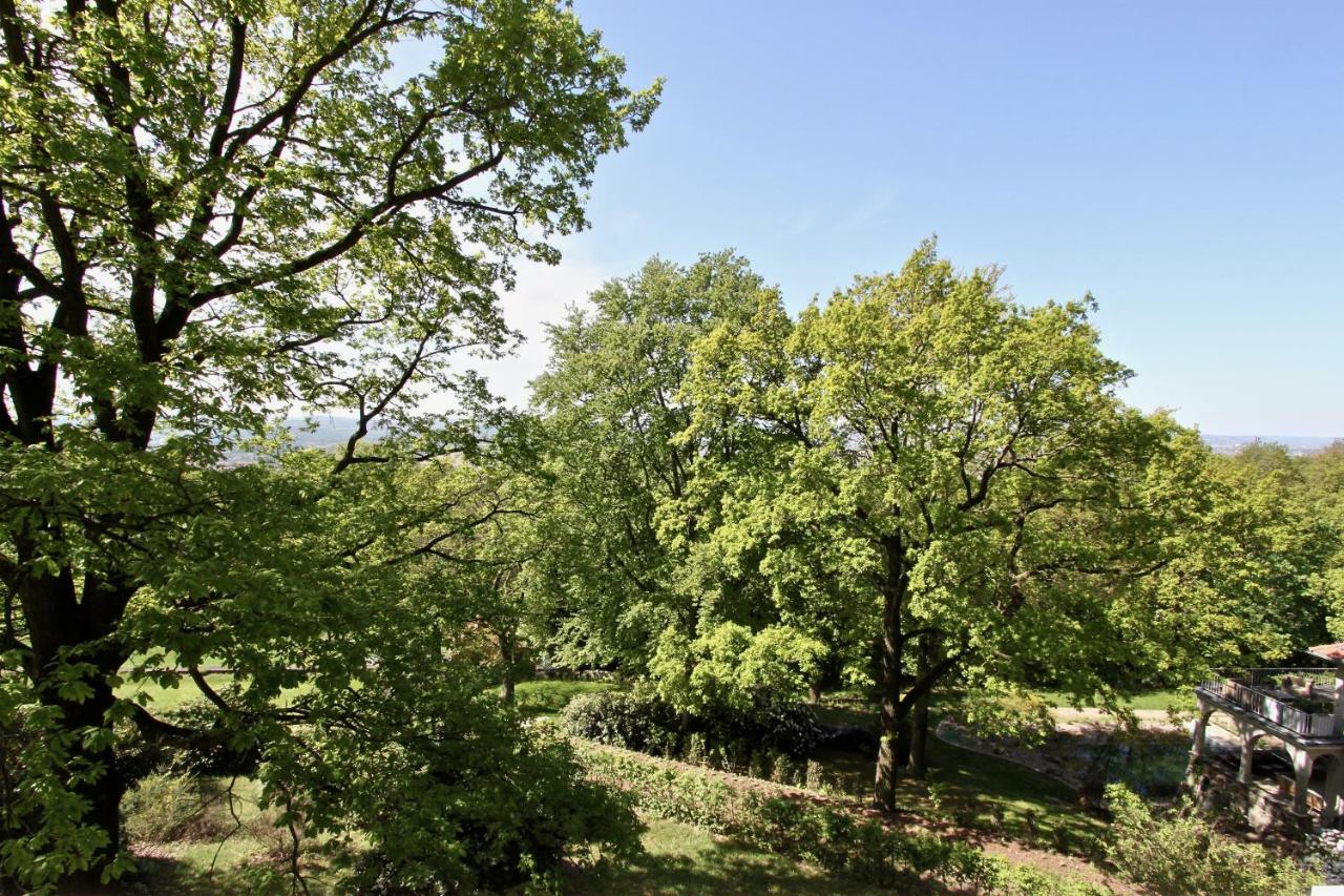 Ferienwohnung Natur Und Kunst Dresda Esterno foto