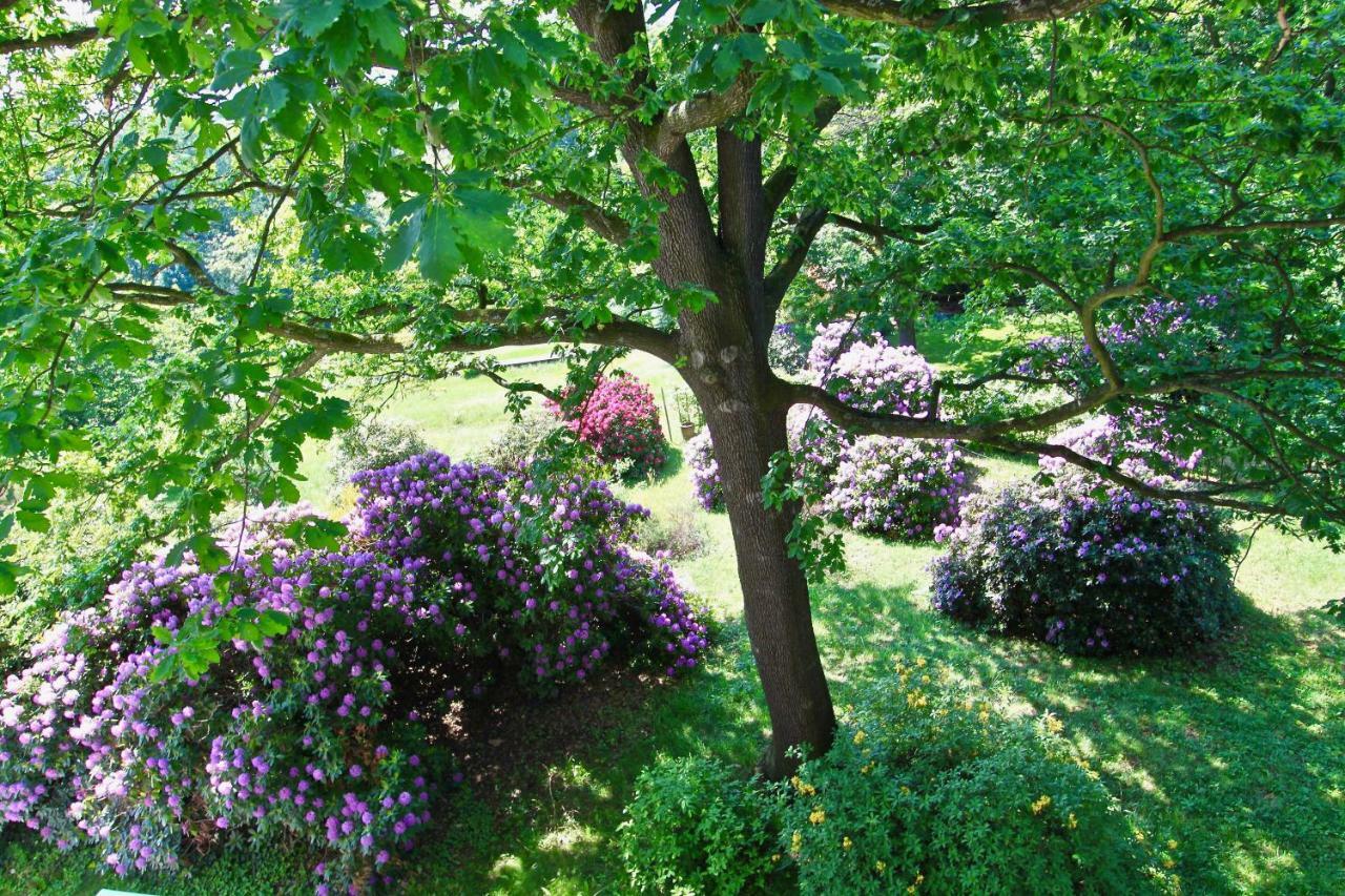 Ferienwohnung Natur Und Kunst Dresda Esterno foto