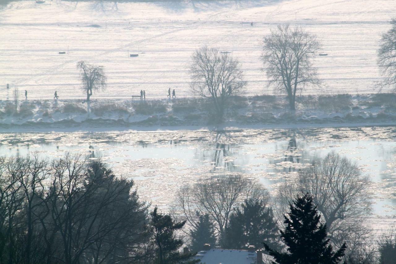 Ferienwohnung Natur Und Kunst Dresda Esterno foto