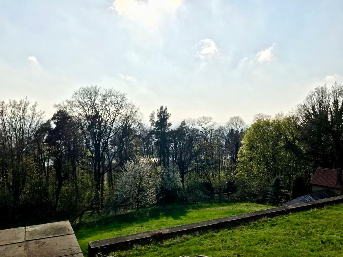 Ferienwohnung Natur Und Kunst Dresda Esterno foto
