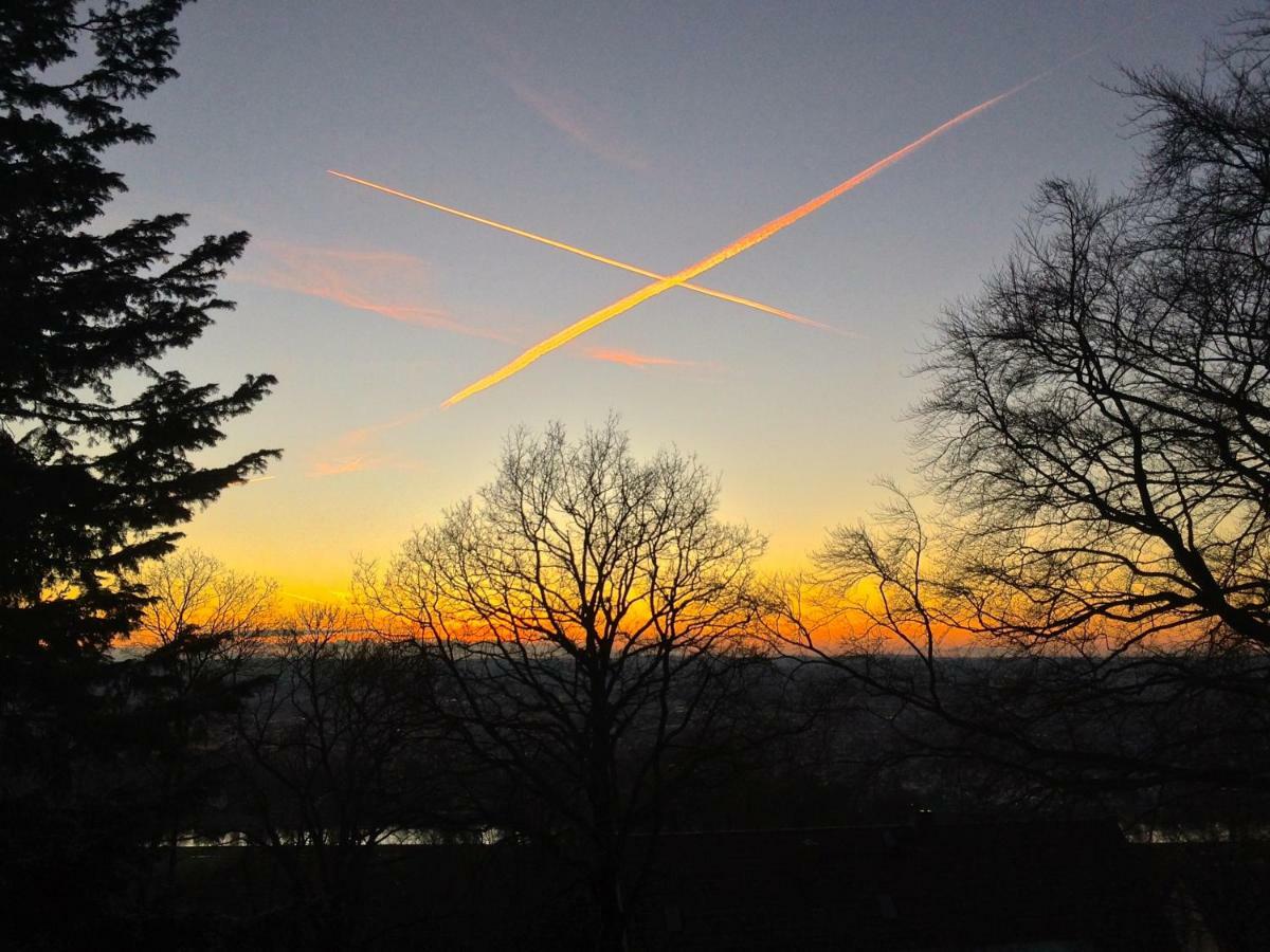 Ferienwohnung Natur Und Kunst Dresda Esterno foto
