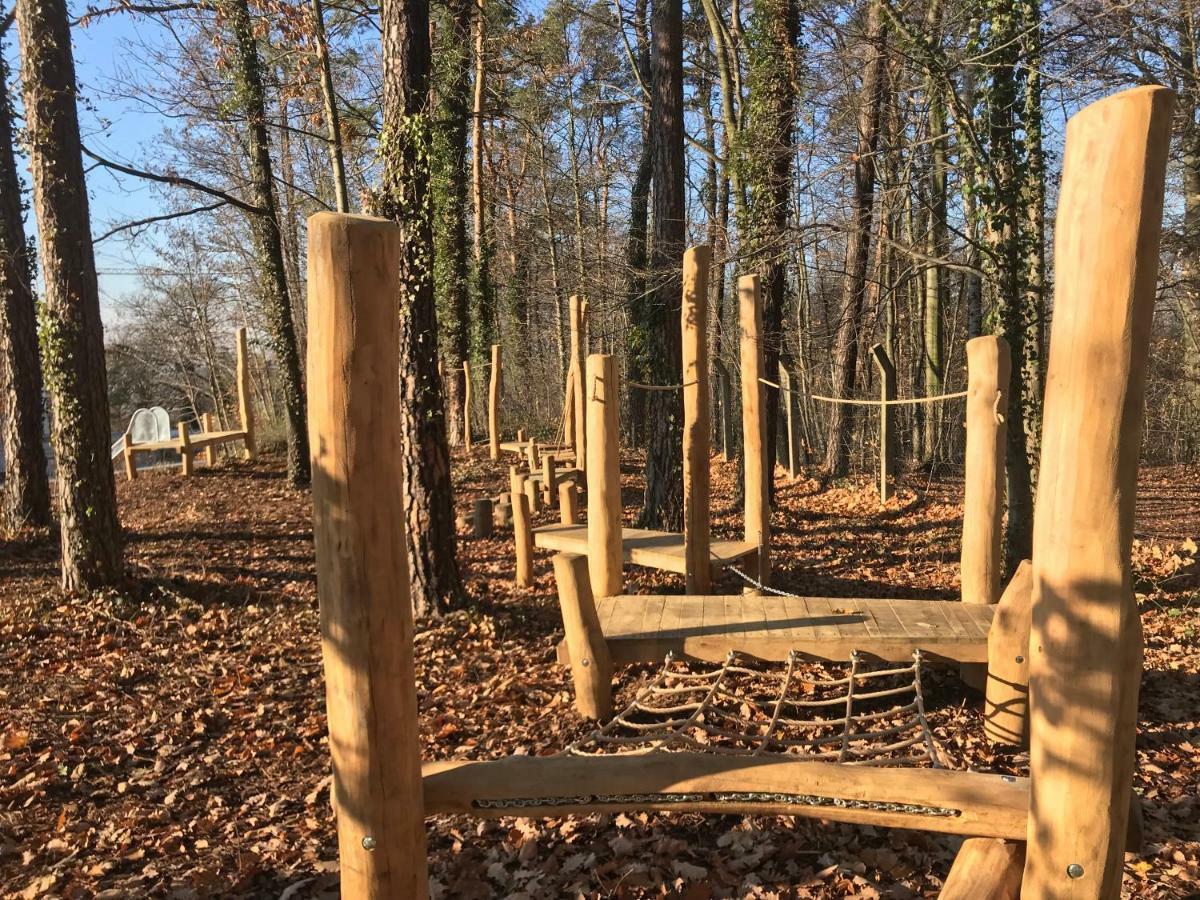 Ferienwohnung Natur Und Kunst Dresda Esterno foto