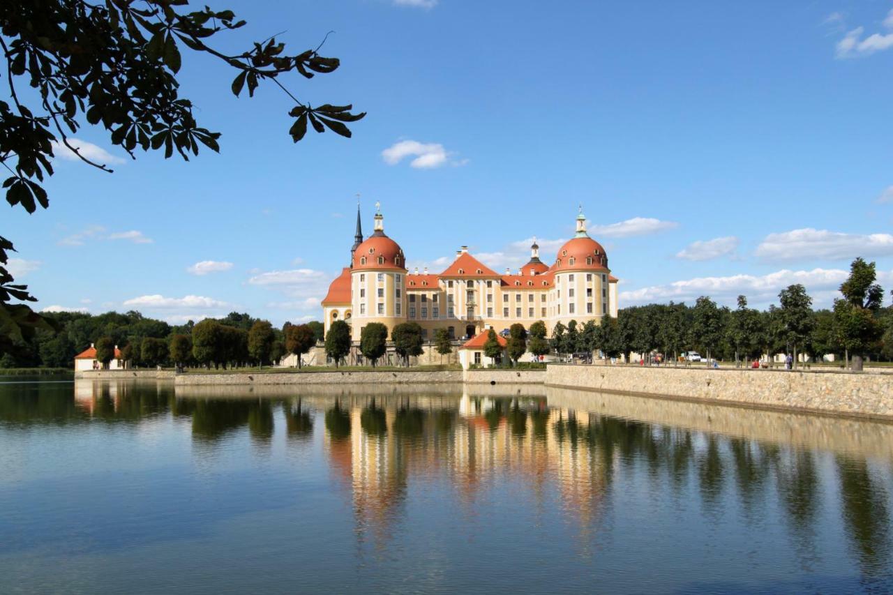 Ferienwohnung Natur Und Kunst Dresda Esterno foto