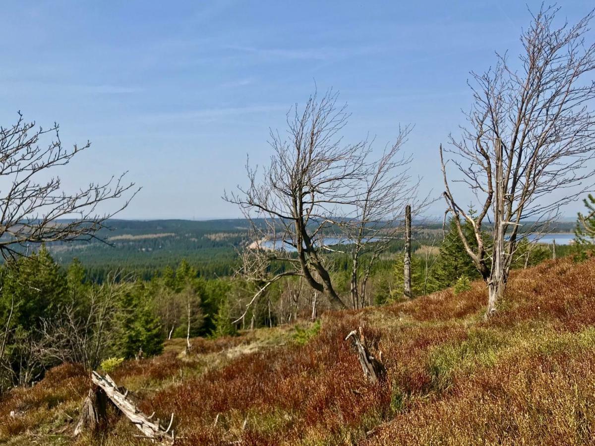 Ferienwohnung Natur Und Kunst Dresda Esterno foto