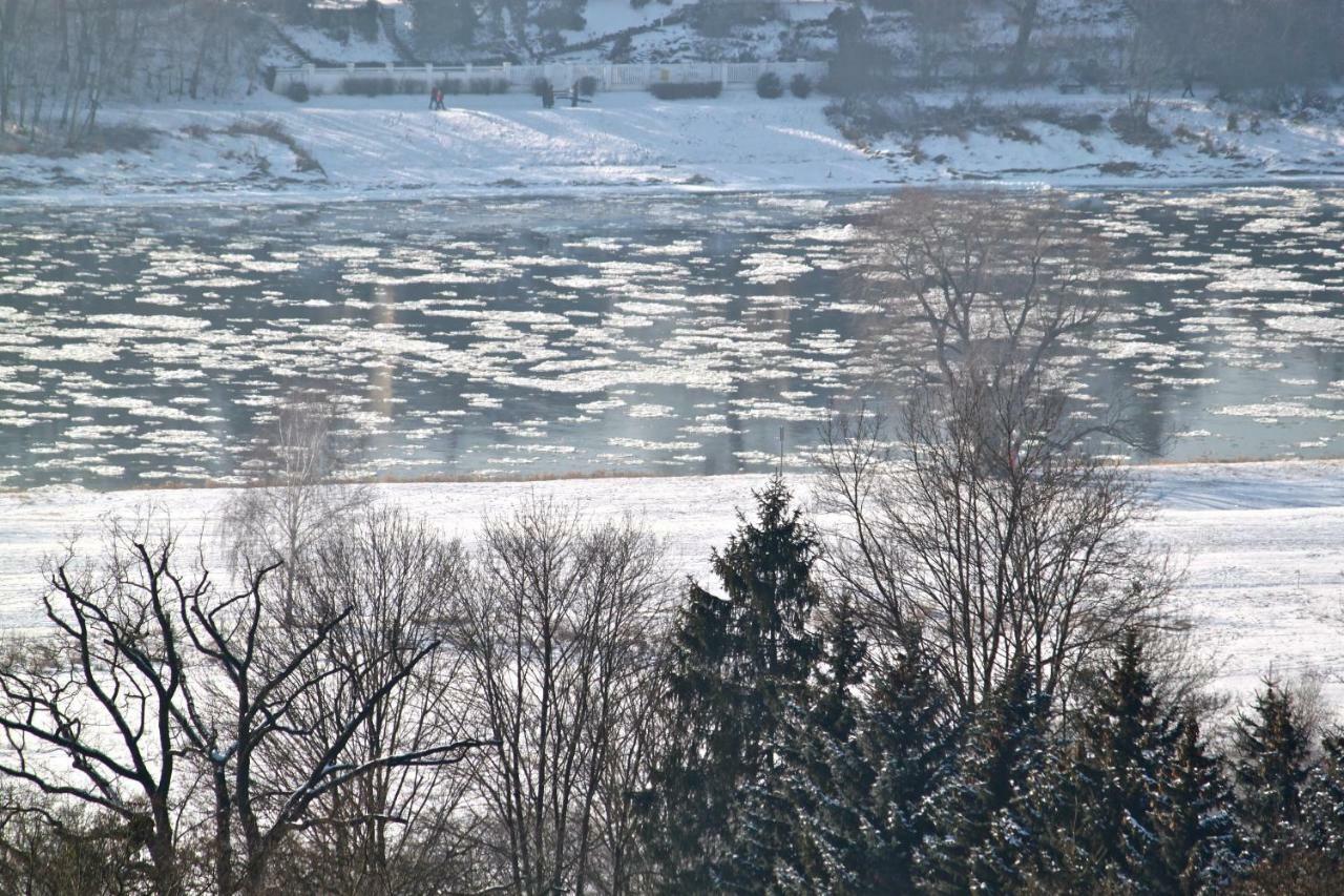 Ferienwohnung Natur Und Kunst Dresda Esterno foto