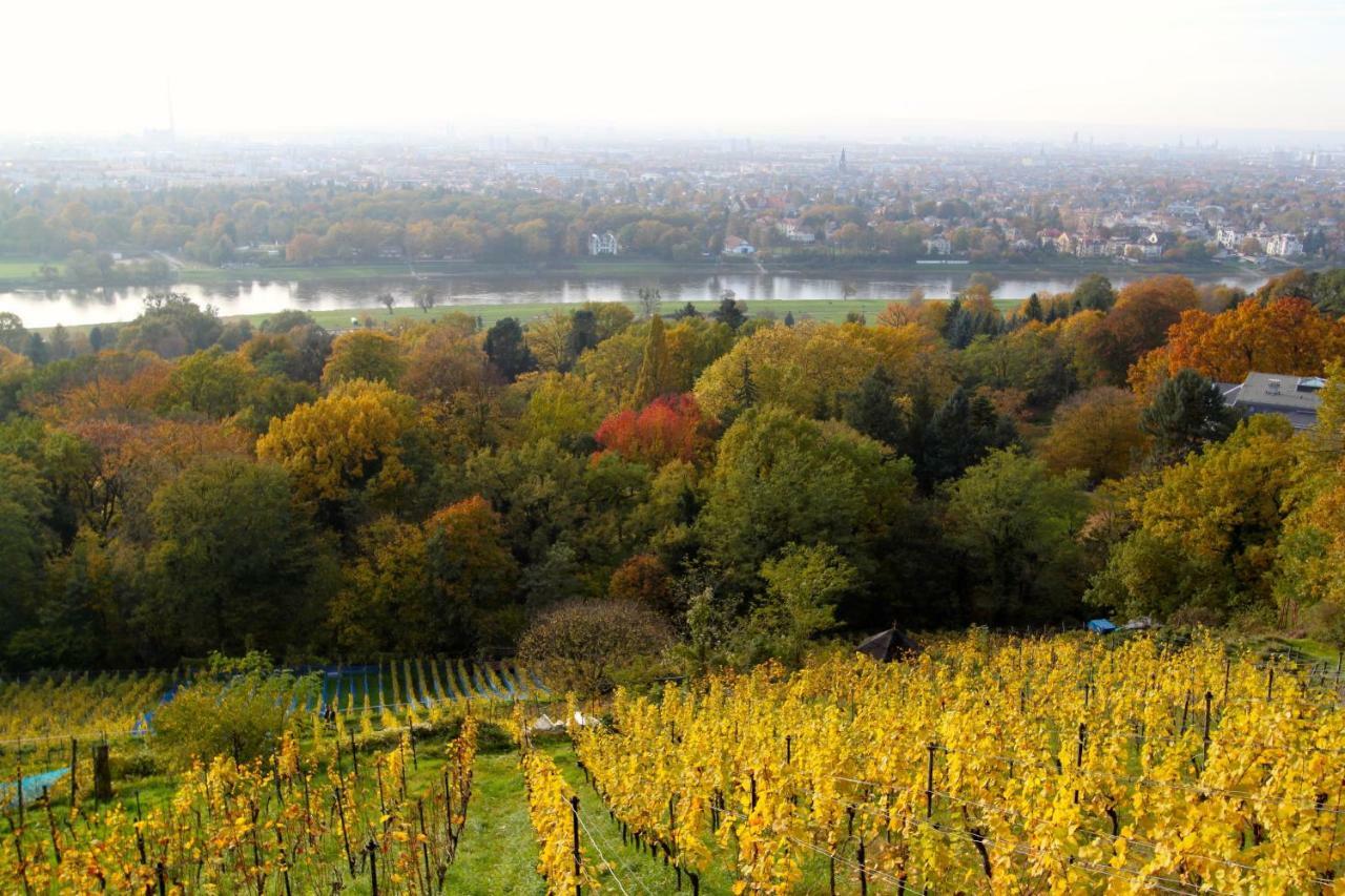 Ferienwohnung Natur Und Kunst Dresda Esterno foto